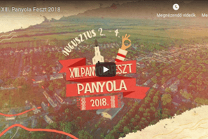 Read more about the article Egy újabb videó a 2018-as Panyolafesztről